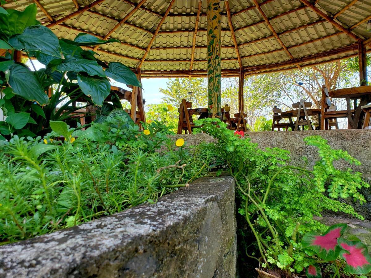 Villa The Jungle à Mérida Extérieur photo