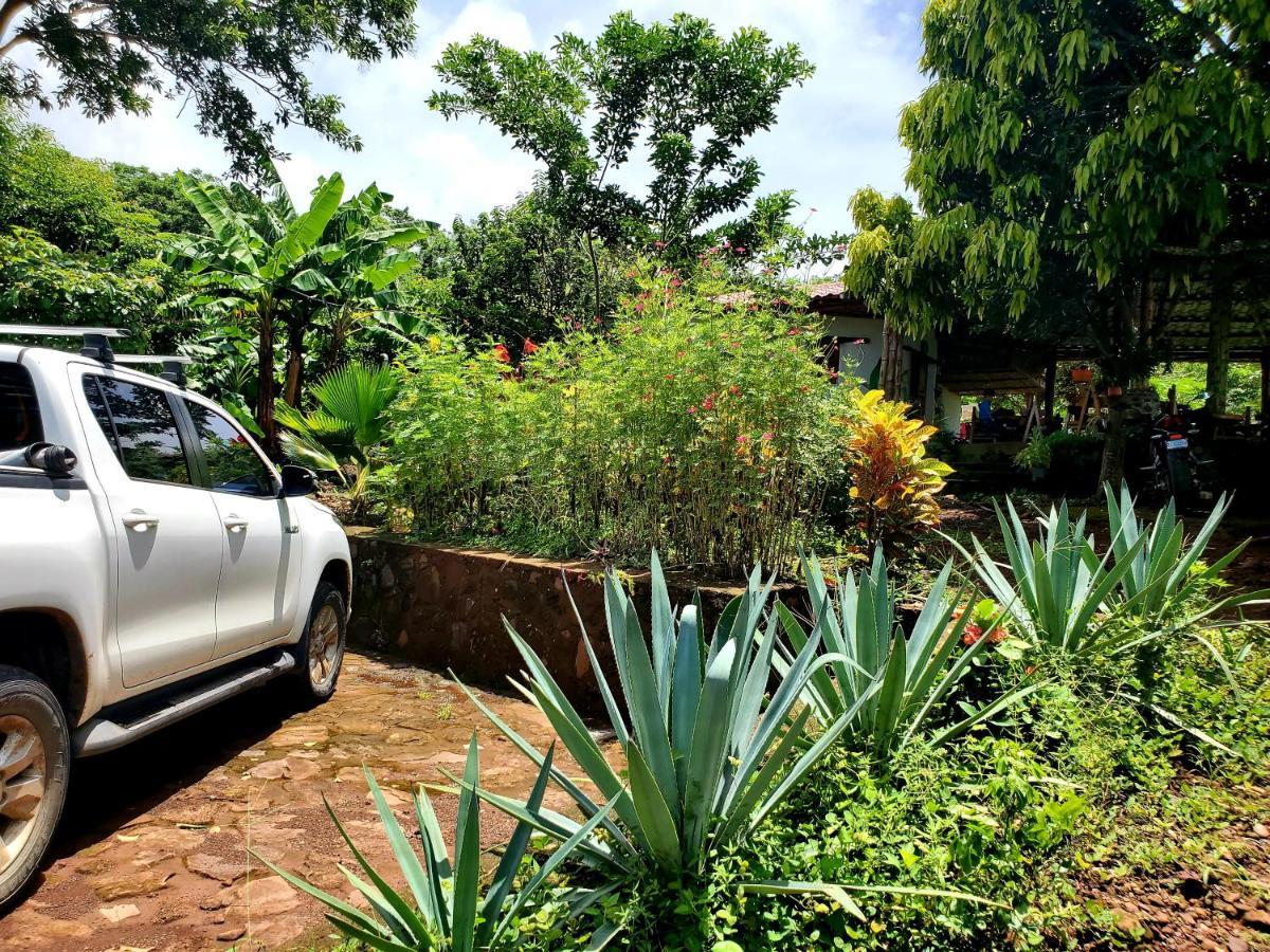 Villa The Jungle à Mérida Extérieur photo
