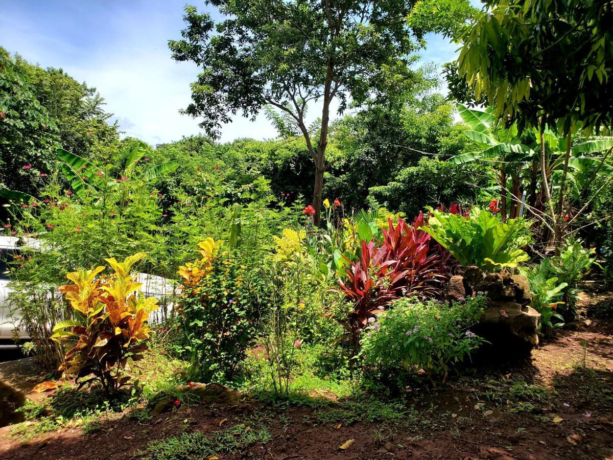 Villa The Jungle à Mérida Extérieur photo