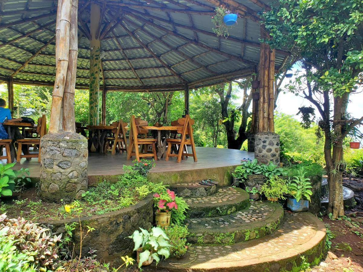 Villa The Jungle à Mérida Extérieur photo