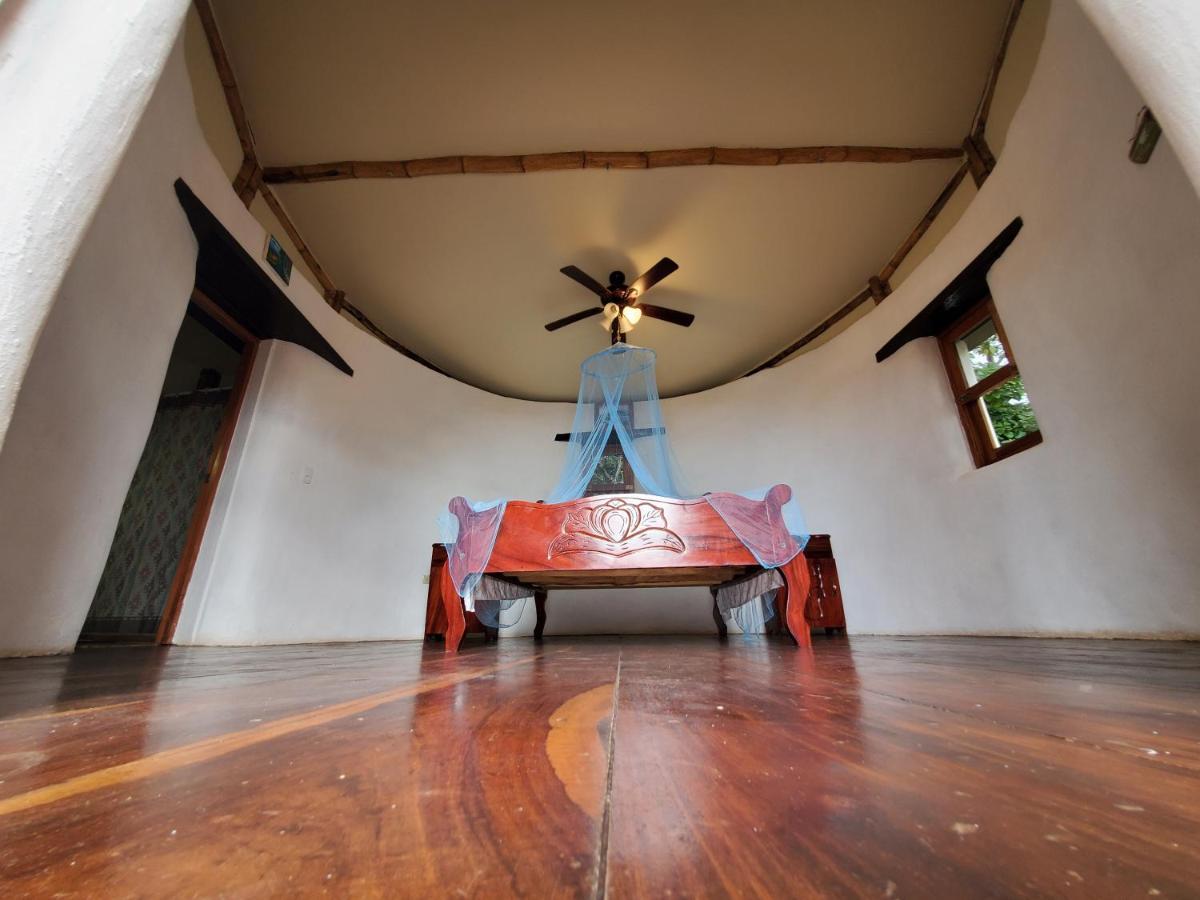 Villa The Jungle à Mérida Extérieur photo