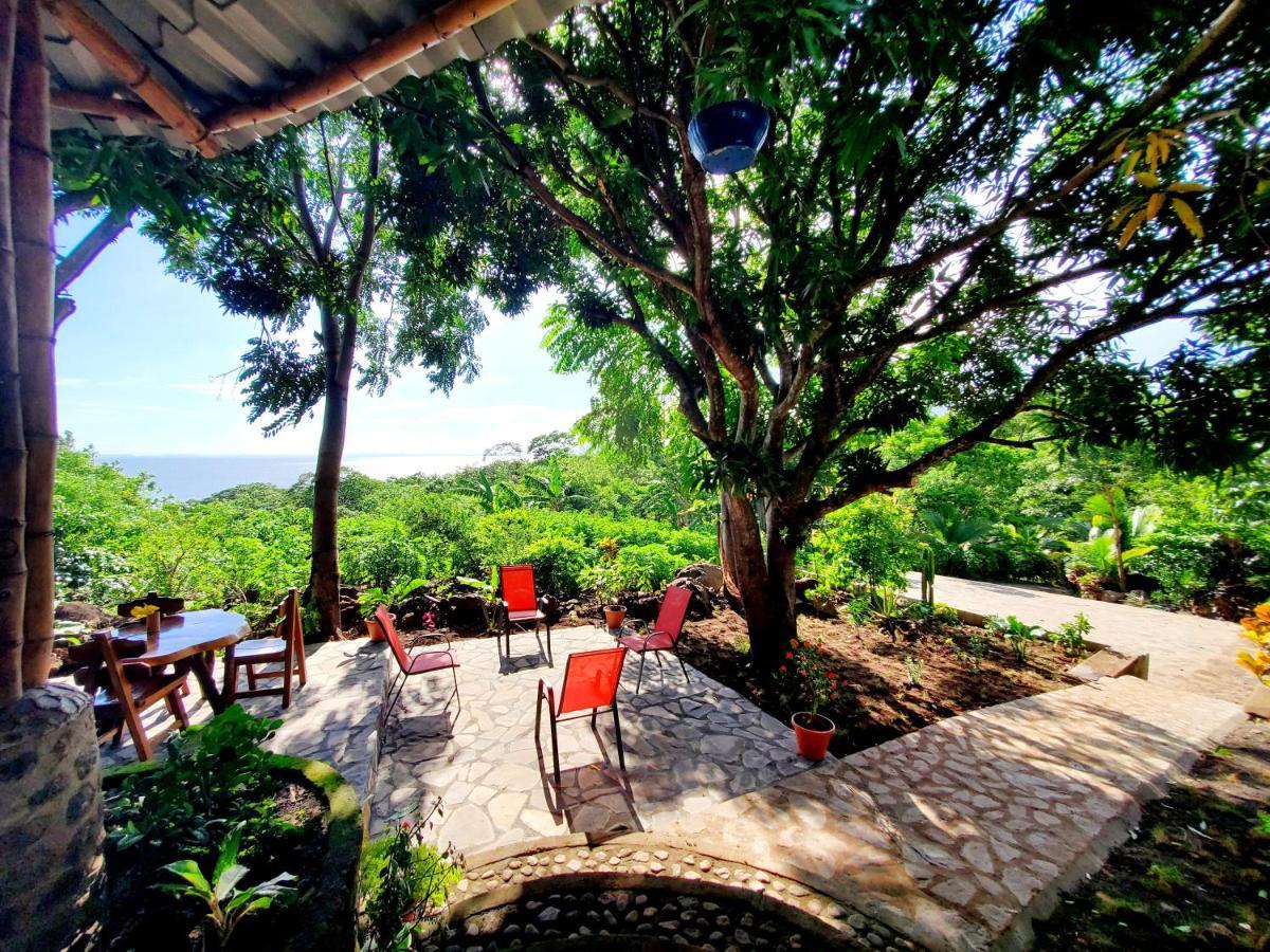 Villa The Jungle à Mérida Extérieur photo