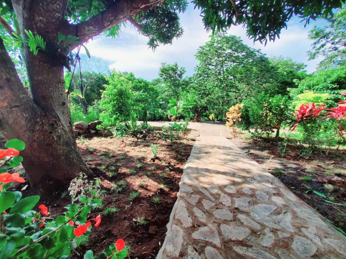 Villa The Jungle à Mérida Extérieur photo