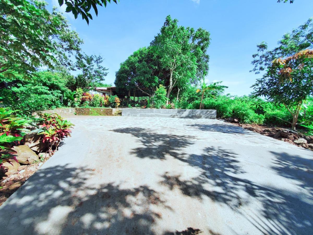 Villa The Jungle à Mérida Extérieur photo