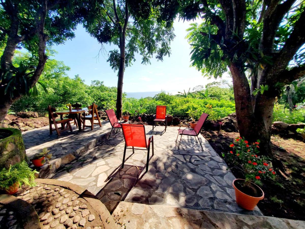 Villa The Jungle à Mérida Extérieur photo
