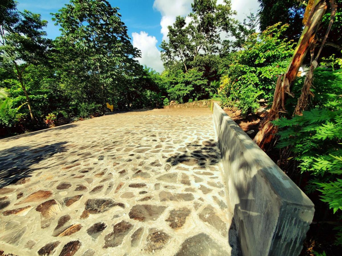 Villa The Jungle à Mérida Extérieur photo