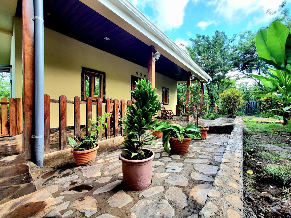 Villa The Jungle à Mérida Extérieur photo