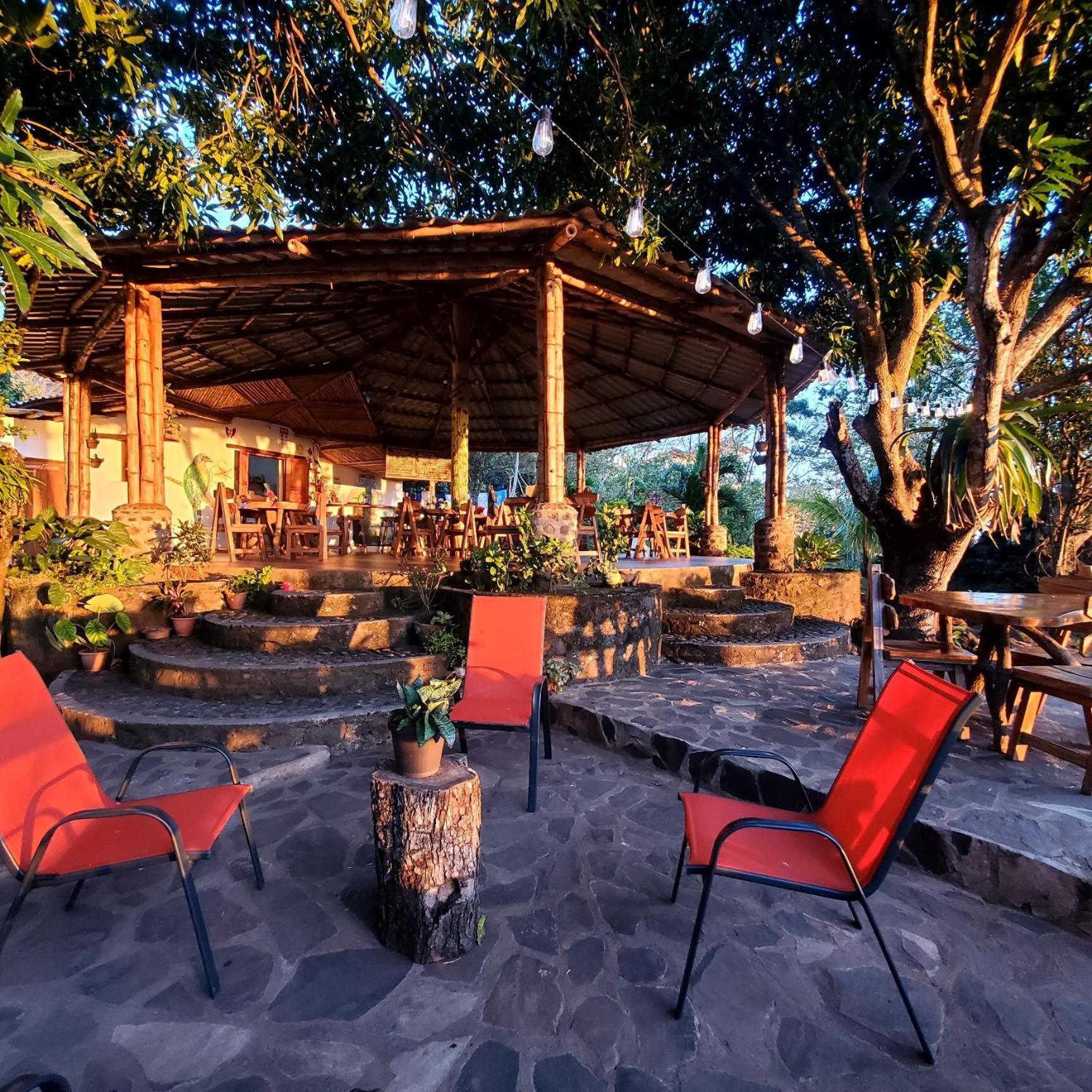 Villa The Jungle à Mérida Extérieur photo