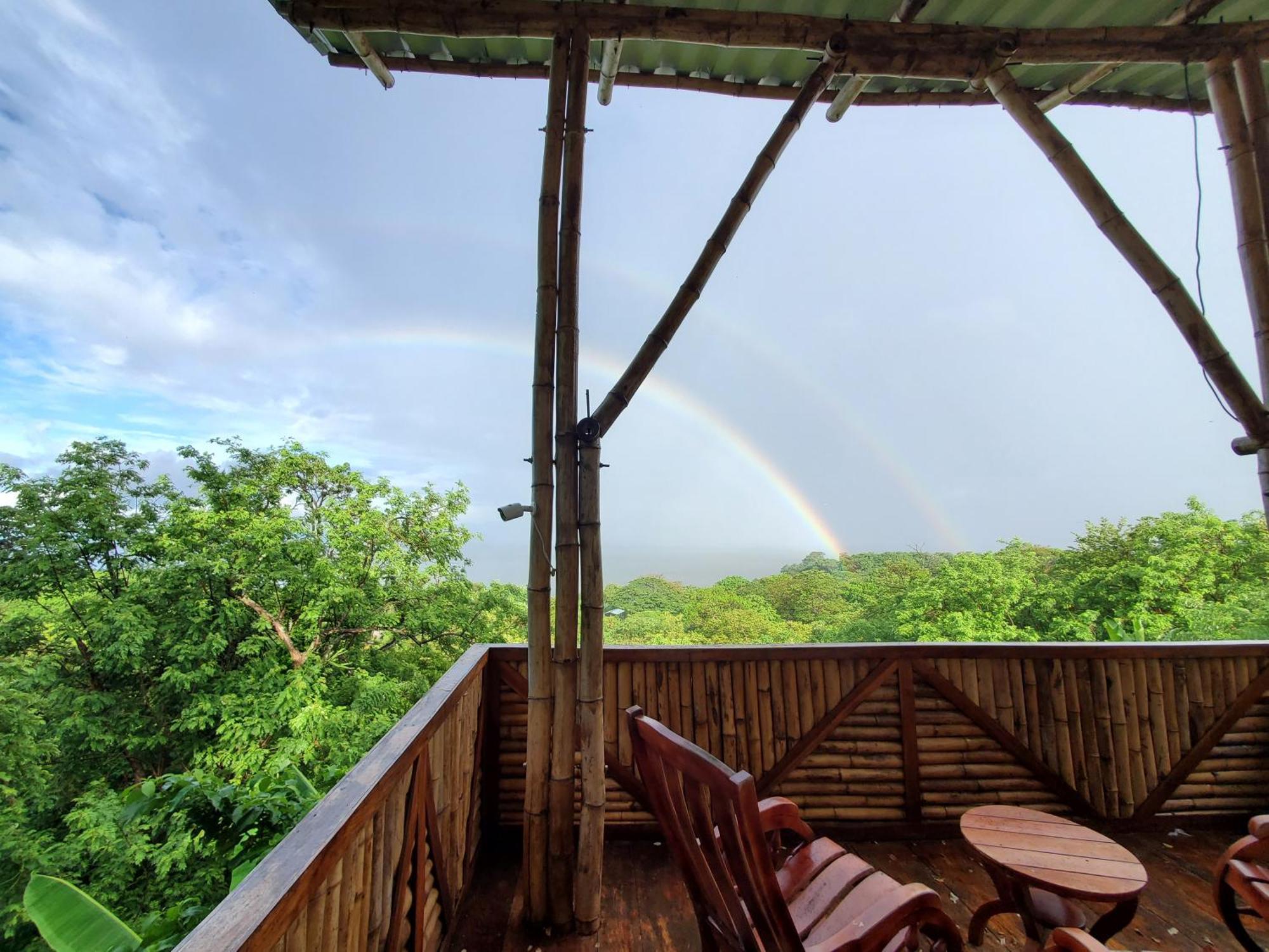 Villa The Jungle à Mérida Extérieur photo