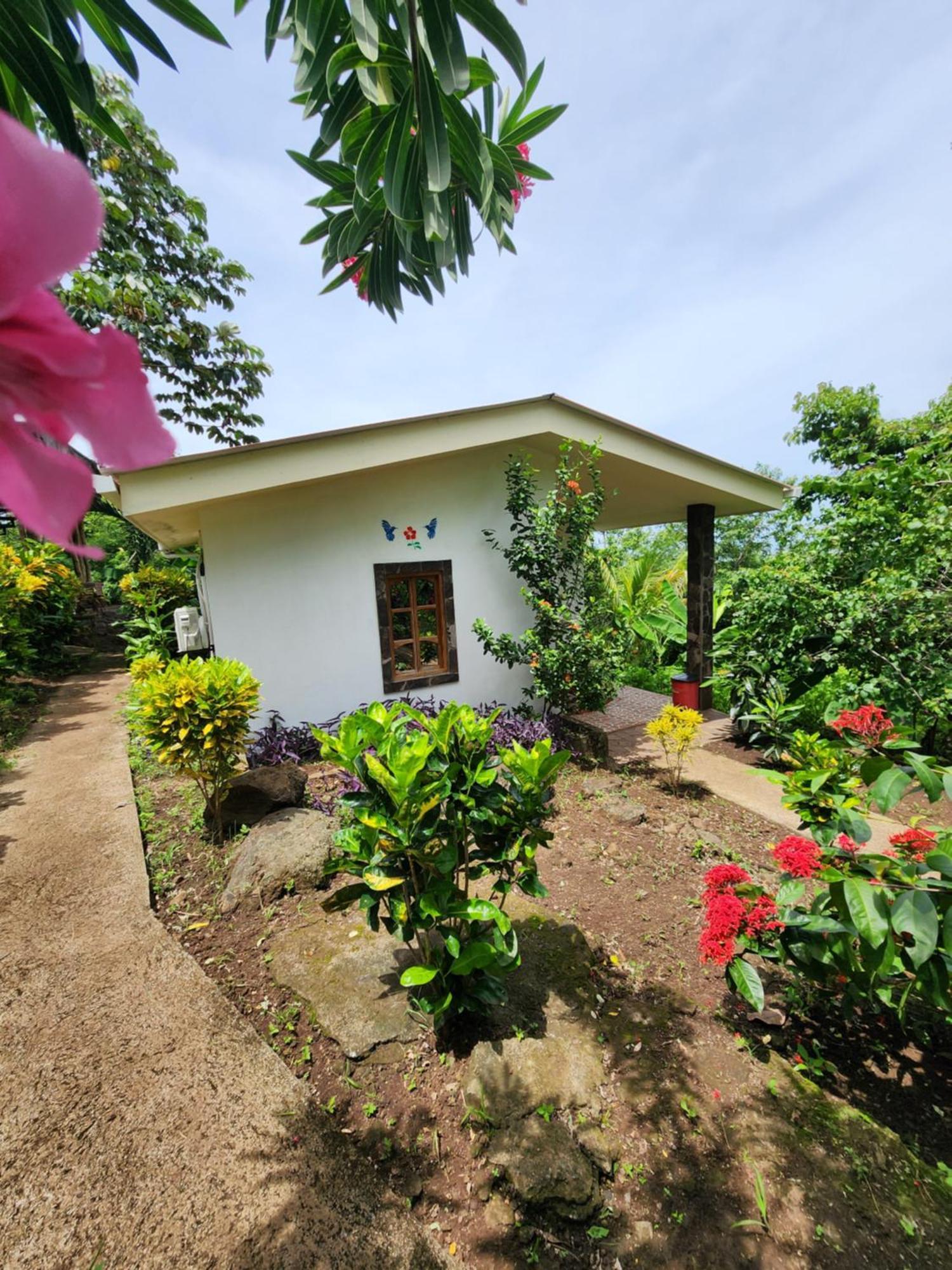 Villa The Jungle à Mérida Extérieur photo
