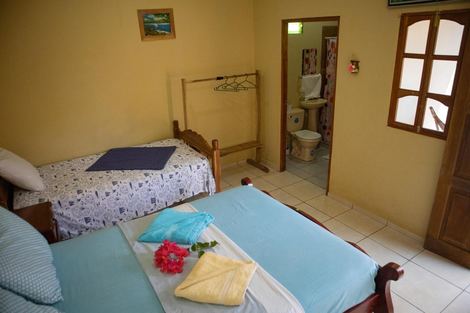 Villa The Jungle à Mérida Extérieur photo