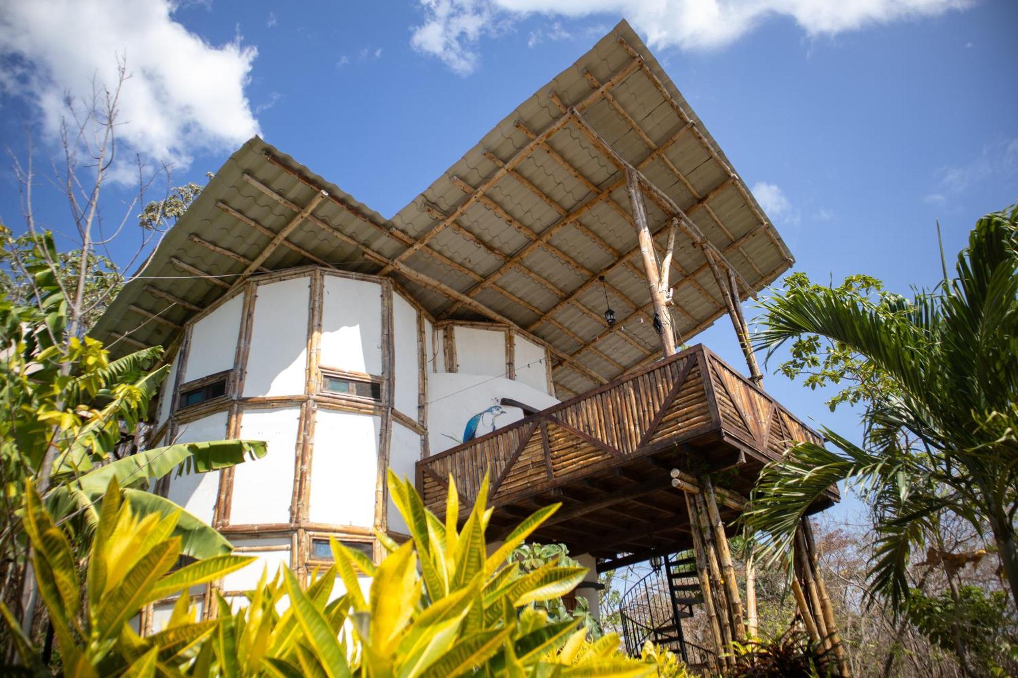 Villa The Jungle à Mérida Extérieur photo