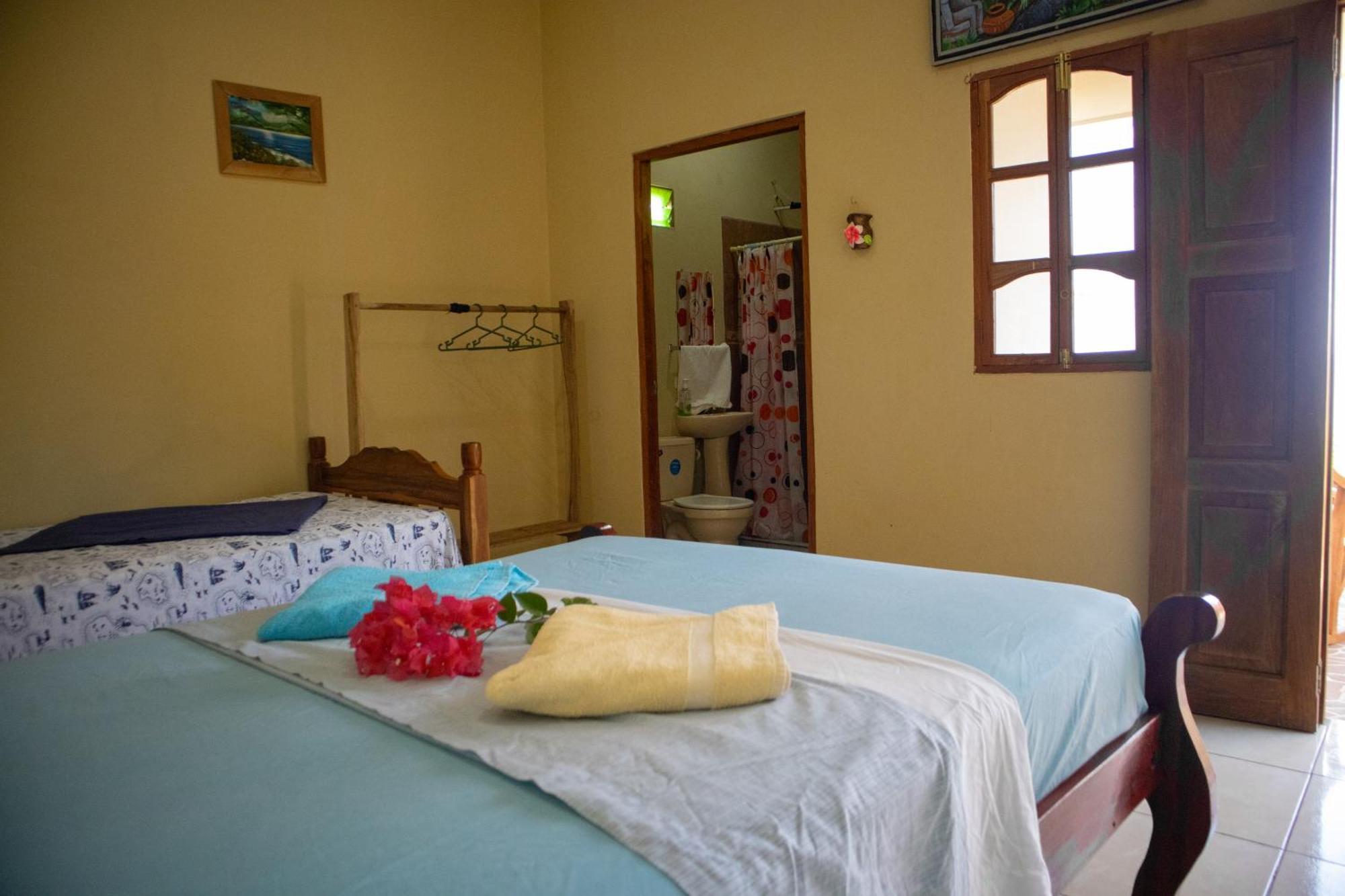 Villa The Jungle à Mérida Extérieur photo