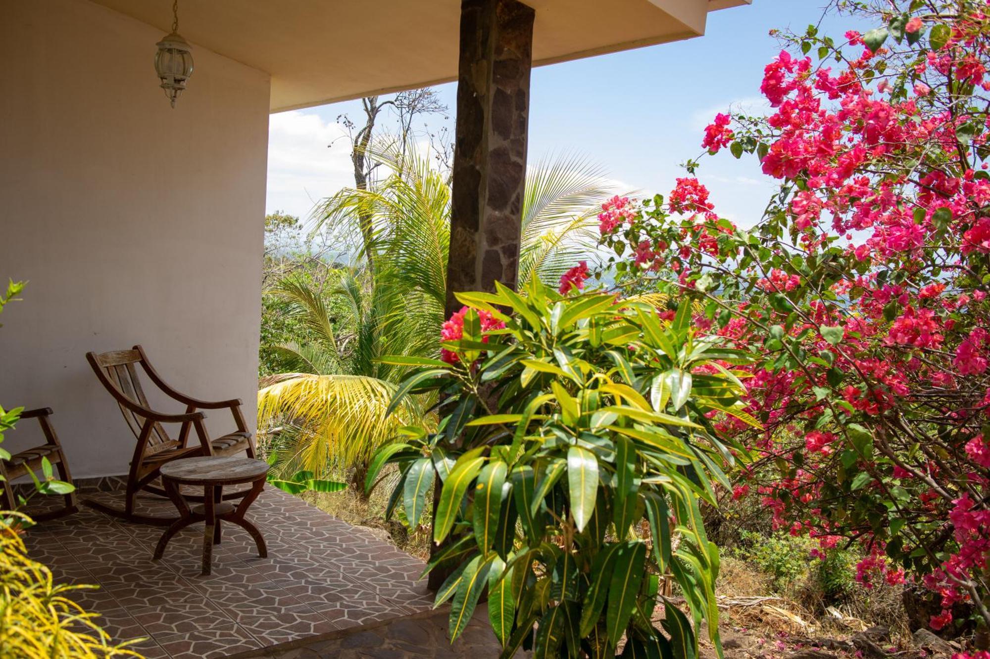 Villa The Jungle à Mérida Extérieur photo