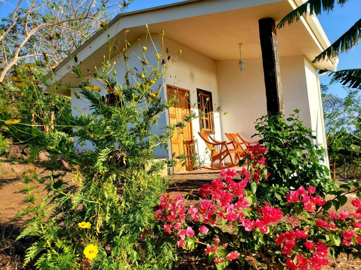 Villa The Jungle à Mérida Extérieur photo